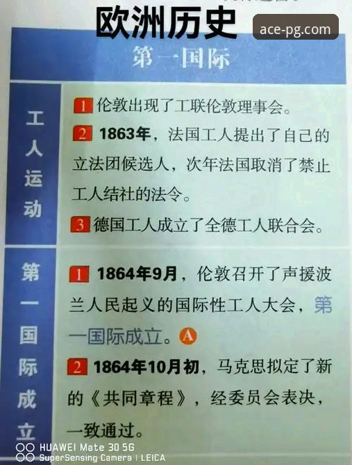 从辉煌到审判：一场商业帝国的“比赛”与一个平台的观察视角